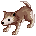 Desert Wolf
