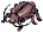 Thief Bug Ringleader