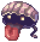 Swift Shellfish