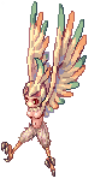 Furious Harpy