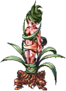 Swift Dryad