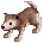 Baby Desert Wolf Ringlea