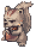 Swift Coco