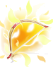 Narcissus Bow
