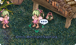 Armor Merchant Naphara