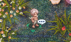 Herb Merchant Plafina