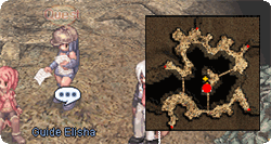 Excavator Guide