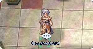 Guardian Knight