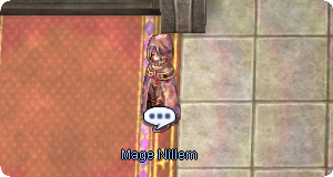 Court Mage Nillem