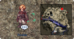 Rookie