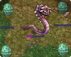 Dark Faceworm và trứng